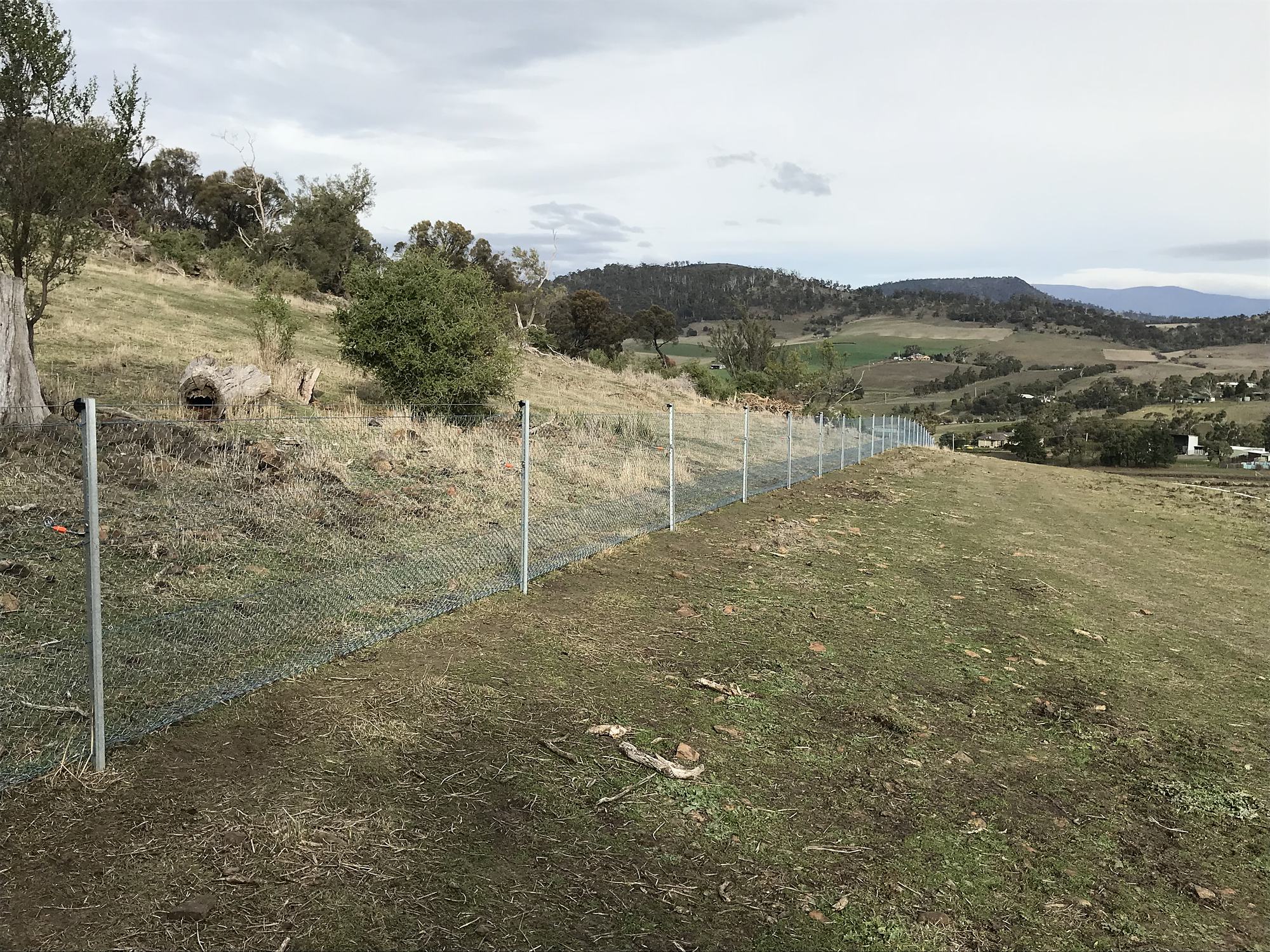 A wallaby exclusion fence running down a hillside above farmland in southern Tasmania